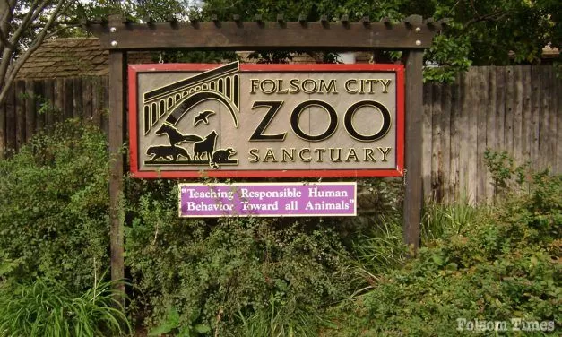 Federal inspection says Folsom Zoo fence non-compliant; city council to take action