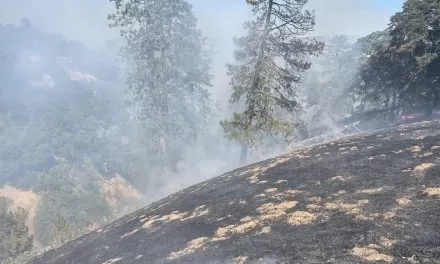 Forward progress stopped on wildfire near El Dorado Hills 
