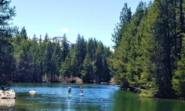 Day Hiker: Donner Memorial State Park