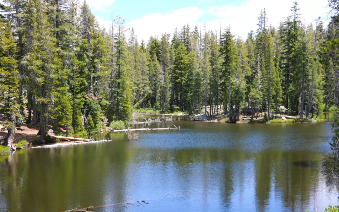 Day Hiker: Glacier Meadow Loop is an easy half mile loop