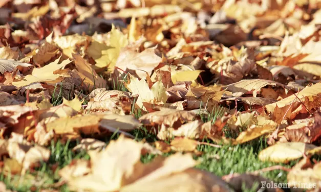 Fall is a great time to start composting