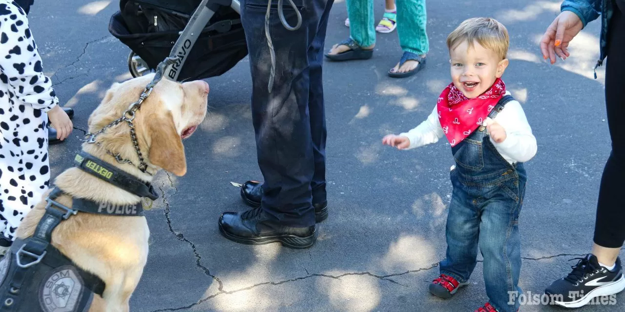 Image Gallery: Folsom Police, Fire bring smiles at Trunk or Treat
