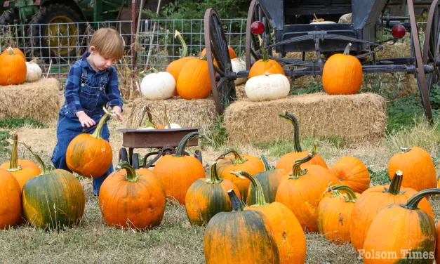 Folsom’s Zittel Farms: providing 47 years of pumpkin fun