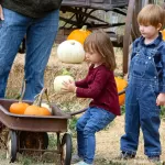 A harvest of tradition: Zittel Farms opens its gates for 49th pumpkin season