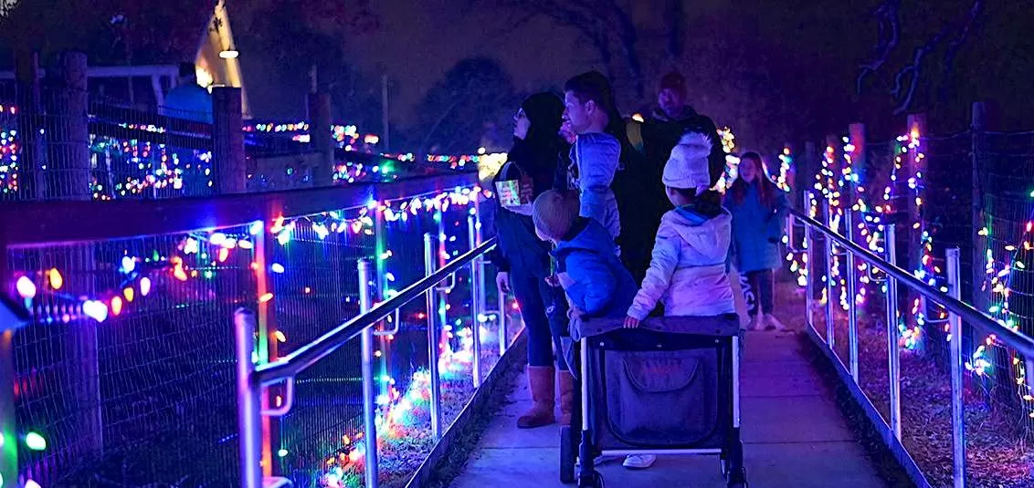 Tickets on sale for Folsom Zoo’s Wild Nights & Holiday Lights