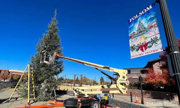 Tis’ the season! Historic Folsom’s holiday tree arrives