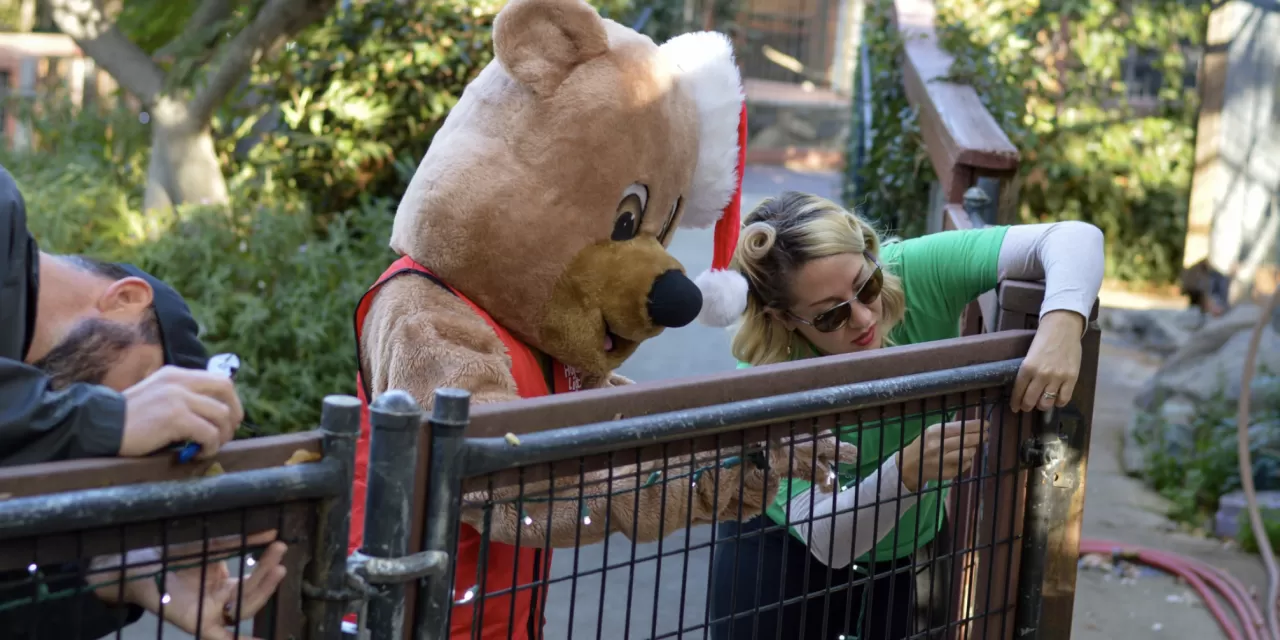 Folsom Zoo volunteers busy preparing for Wild Nights and Holiday Lights opener