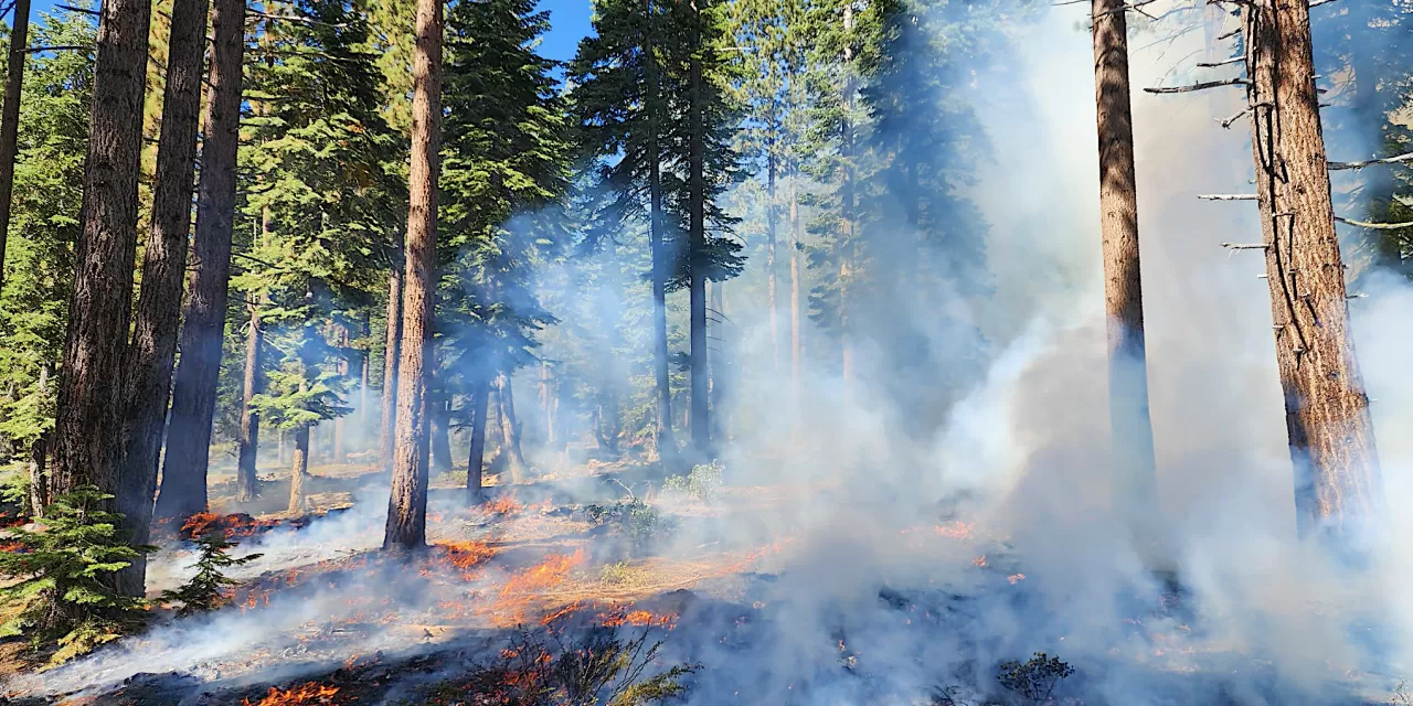 As snow falls in the Sierra, fire fuel abatement teams get busy