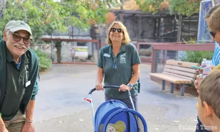 Folsom City Zoo offering 2024 docent training classes