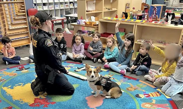 Folsom Police Therapy K-9 Liberty visits Carl Sundahl Elementary