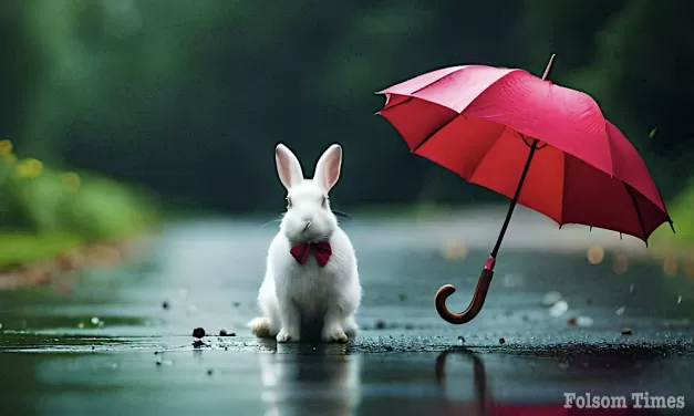 Rain, snow moves in Friday, but will the Easter Bunny stay dry?