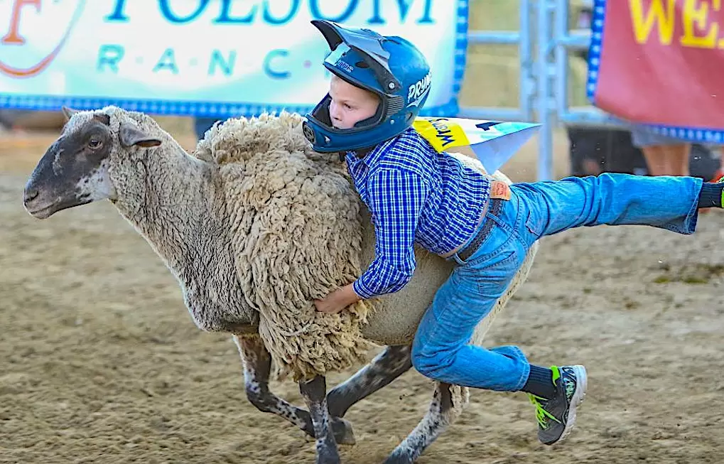 Folsom adds 4th day of rodeo with Sacramento Sheriffs Rodeo partnership