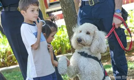 Folsom City Works Day brings big crowds and big smiles