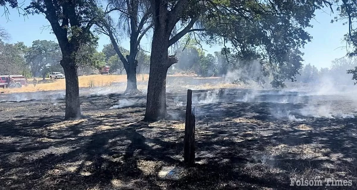 Metro, Folsom firefighters snuff fire threatening Orangevale homes 