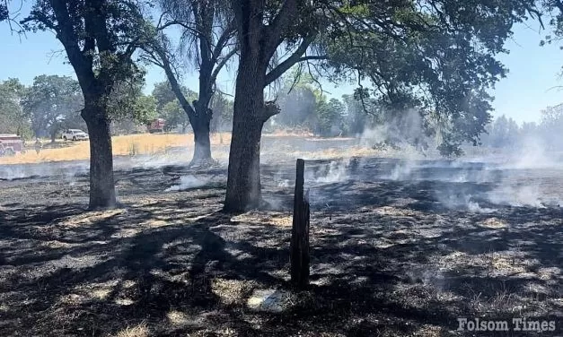 Metro, Folsom firefighters snuff fire threatening Orangevale homes 