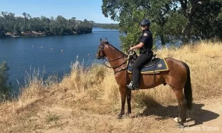 It’s parade and rodeo time, but Folsom’s Mounted Police are busy all year