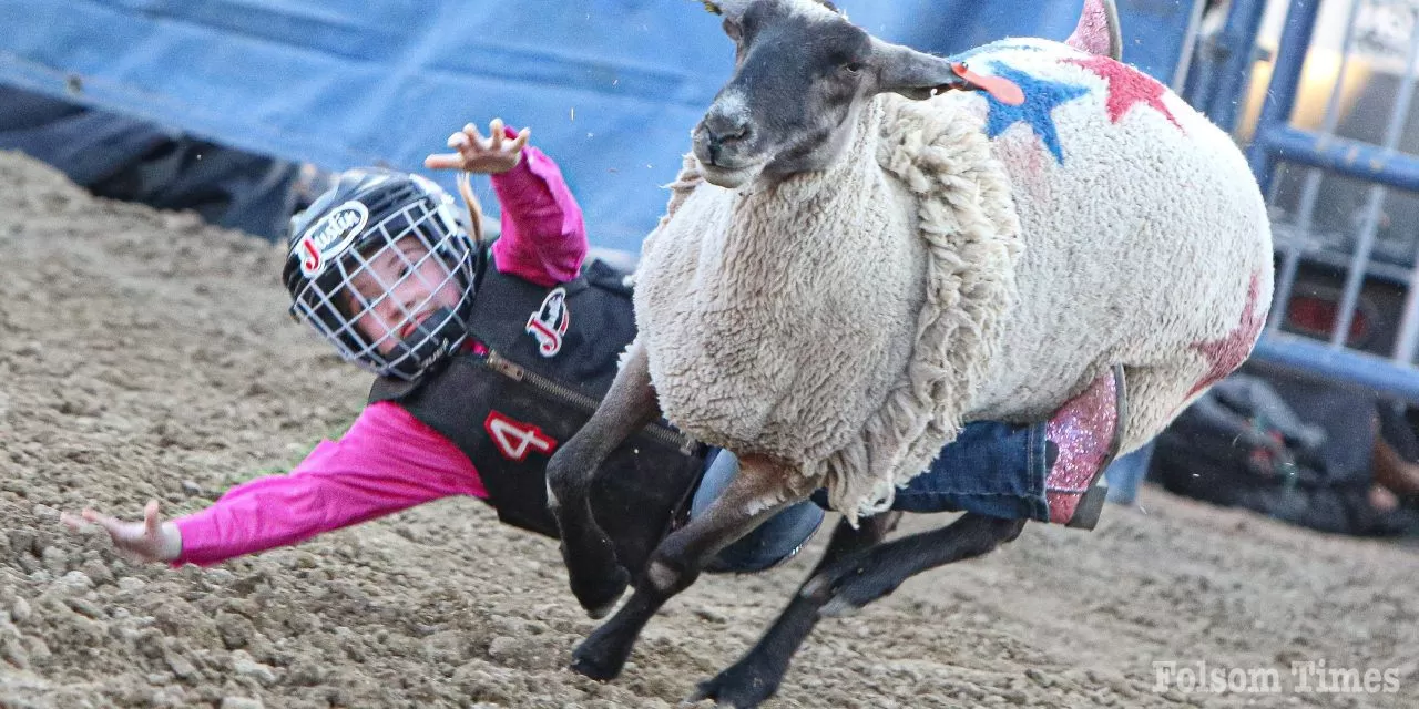 Folsom Pro Rodeo 202415