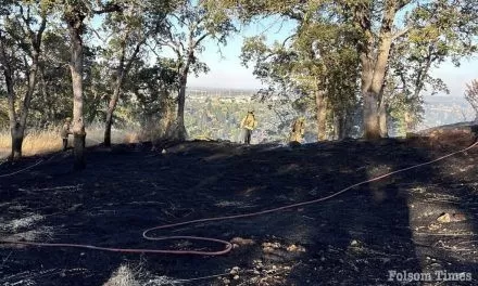 Folsom firefighters snuff early morning  Eagle Ridge fire