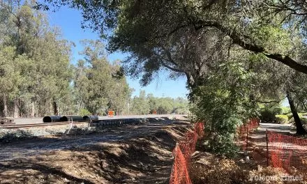 Removal of select Folsom Boulevard landmark oaks approved 4-1