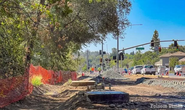 Fate of Folsom Boulevard landmark oaks up for discussion Tuesday