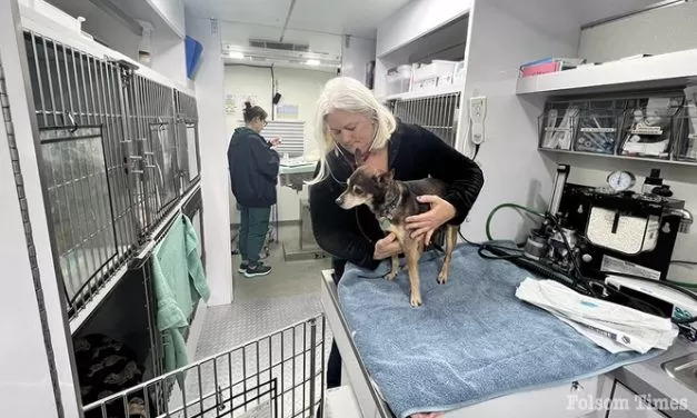 PAWS Mobile Clinic is lifeline for pets of county’s unhoused