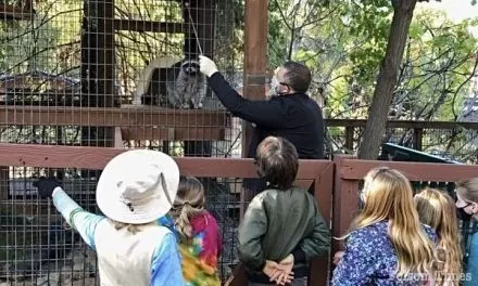 Folsom Zoo, local Blue Star Moms giving military kids a special day