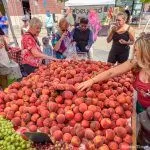 Peaches in the Plaza to bring fruity fun to Historic Folsom