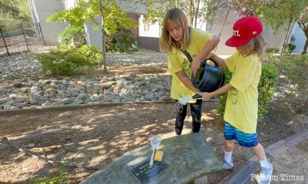 Public invited to brainstorm Folsom Community Service Day Project ideas May 14