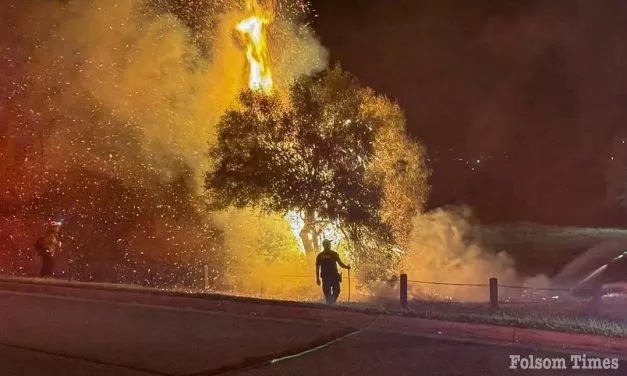 Folsom Fire, police knock out Knopfler Circle vegetation fire