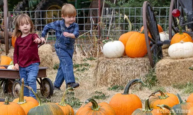 A Folsom tradition: Zittel Farms ready for 48th Pumpkin pickin’ season