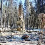 Caldor Fire environmental restoration assessment released