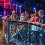 Folsom Zoo Wild Nights and Holiday Lights returns for 14th year