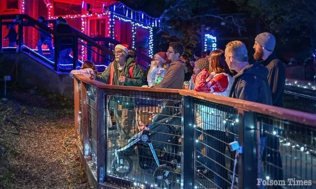 Folsom Zoo Wild Nights and Holiday Lights returns for 14th year