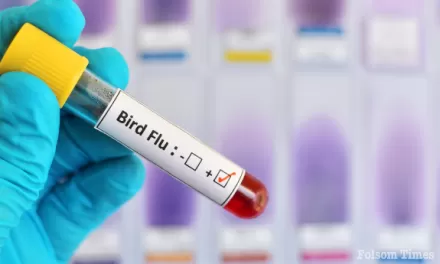 Sac County Health officials closely monitoring Bird Flu situation