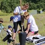 Volunteers sought for tree planting event at Folsom Skate Park