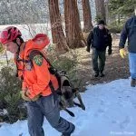 Lucky pup rescued after taking 200-foot plunge off Sierra waterfall