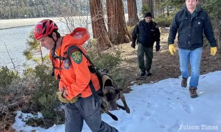 Lucky pup rescued after taking 200-foot plunge off Sierra waterfall