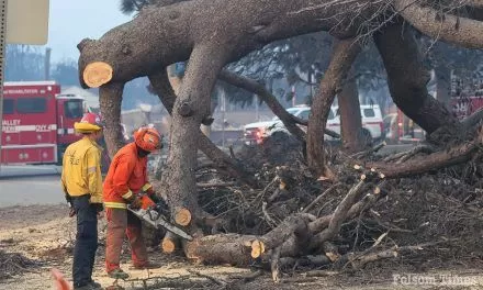 California prison firefighters join battle against Los Angeles wildfires