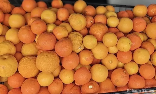 Folsom Food Bank Collects Over 1,200 lbs of Citrus to Feed Community