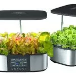 Folsom Families Rave about LetPot’s Indoor Gardening Systems