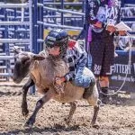 It’s Rodeo week: Sac County Sheriff’s Rodeo returns Saturday in Folsom