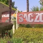 Sacramento Zoo cancels relocation plans amidst financial shortfalls