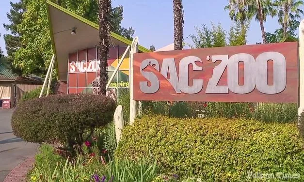 Sacramento Zoo cancels relocation plans amidst financial shortfalls