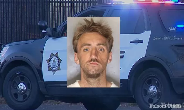 Deadly stabbing suspect was previously released from jail