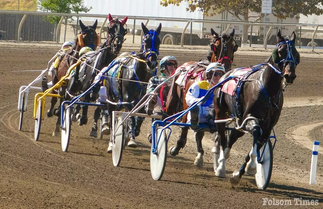 End of an era: Cal Expo harness racing takes its final lap