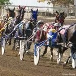 End of an era: Cal Expo harness racing takes its final lap