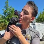 Paw-sitive Rescue: Folsom Officer rescues abandoned puppy from park