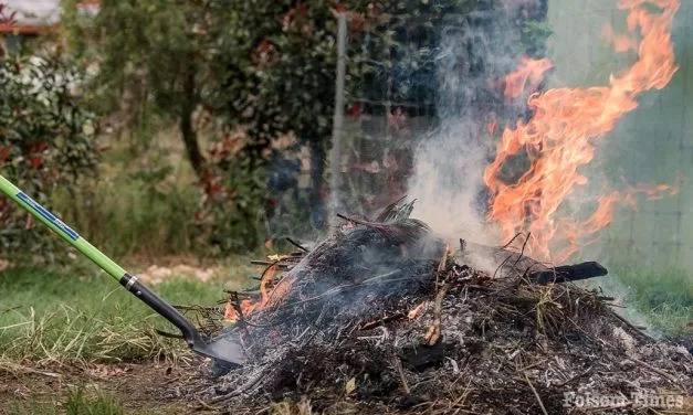 Residential burn permits suspended across region as fire risk rises
