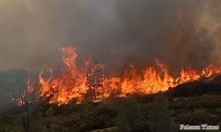 Fire Prompts Evacuations in Shingle Springs