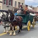 Downtown Placerville to welcome 76th Wagon Train arrival